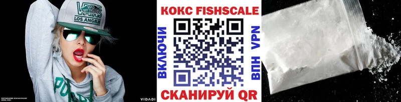 COCAIN Fish Scale  дарк нет телеграм  Волгореченск 