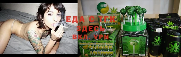 хмурый Белокуриха