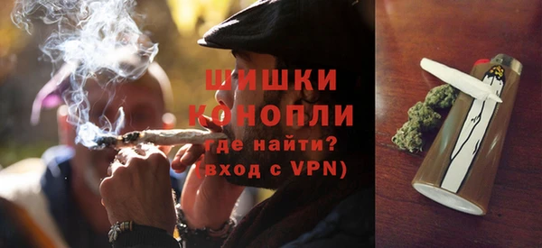 хмурый Белокуриха