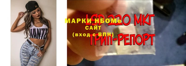 хмурый Белокуриха