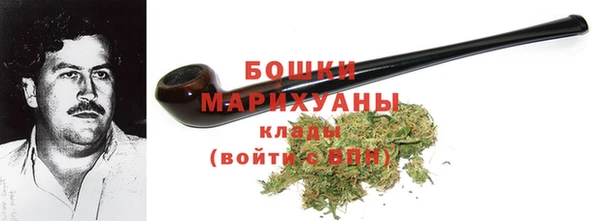 хмурый Белокуриха