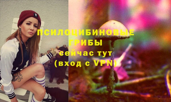 хмурый Белокуриха